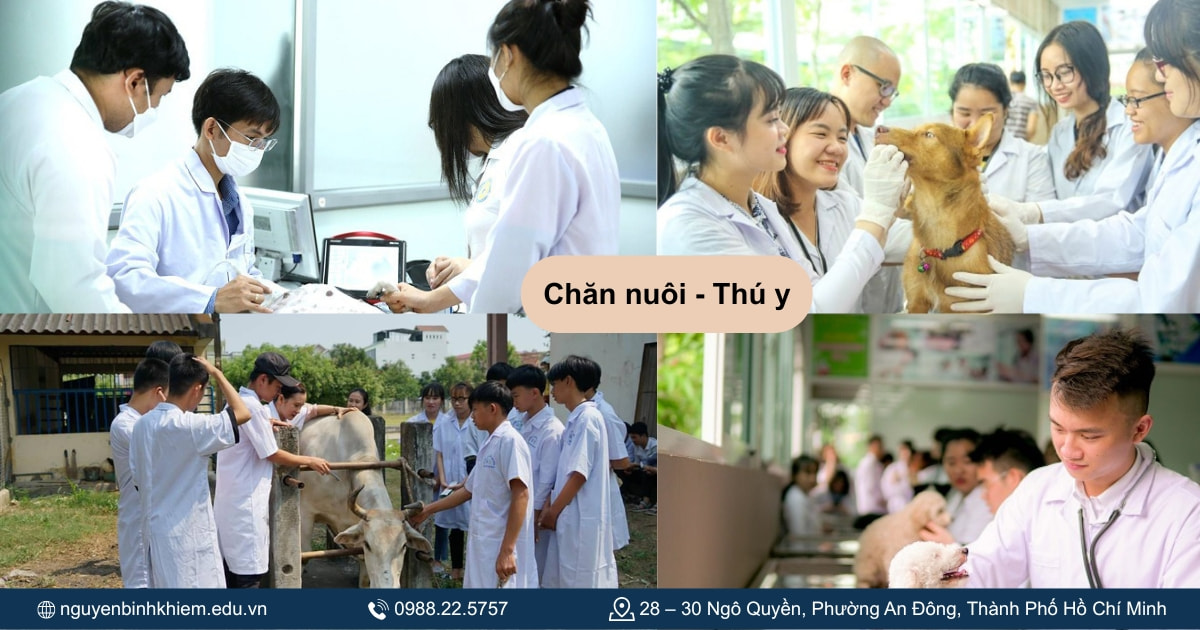 Chăn nuôi -Thú ý