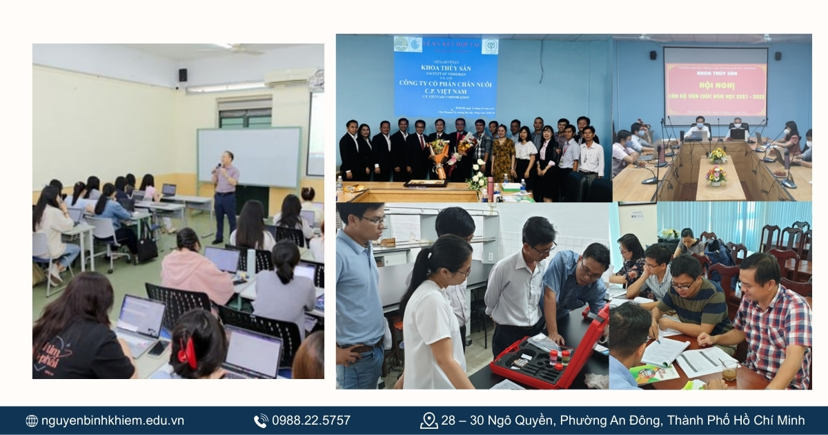 Chương trình đào tạo 