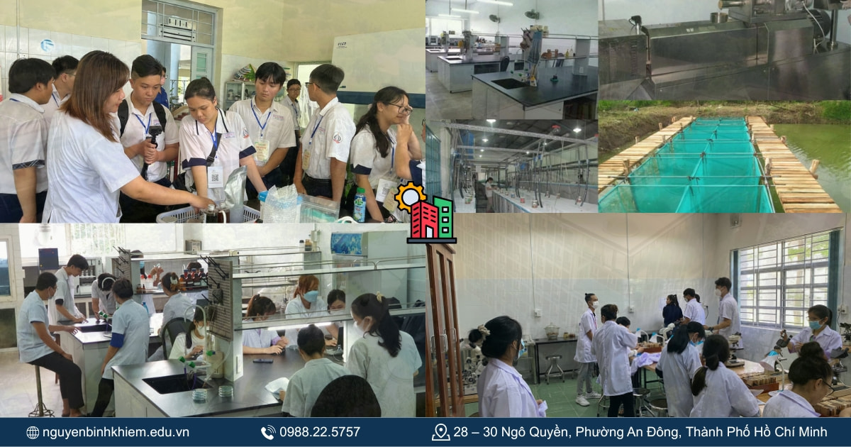 Cơ sở vật chất 