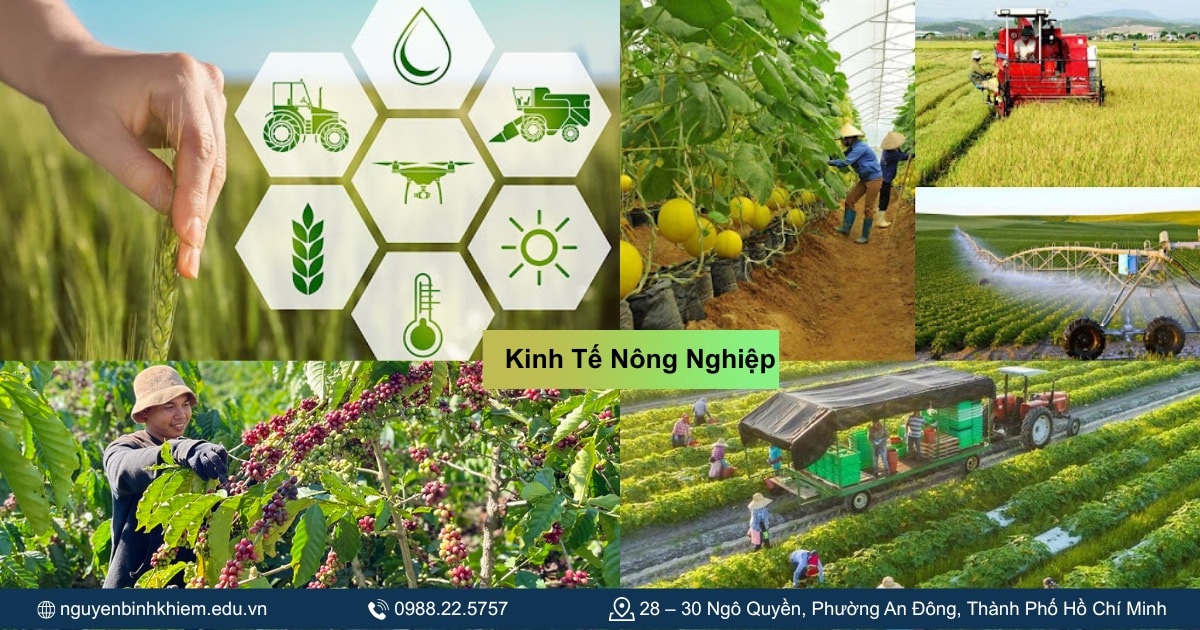 Kinh tế nông nghiệp 