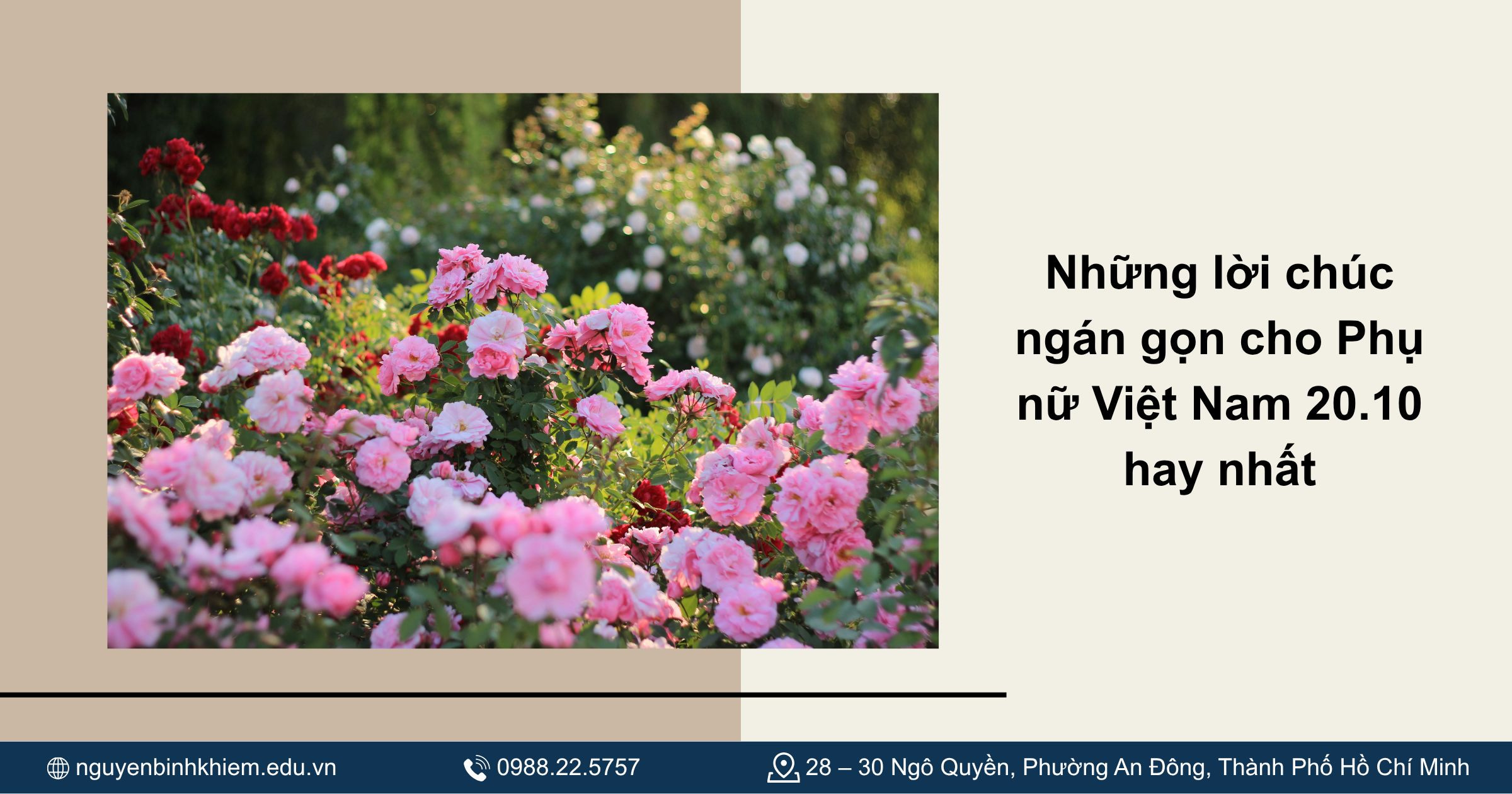 Lời chúc mừng 20 10 ngắn gọn nhưng ý nghĩa