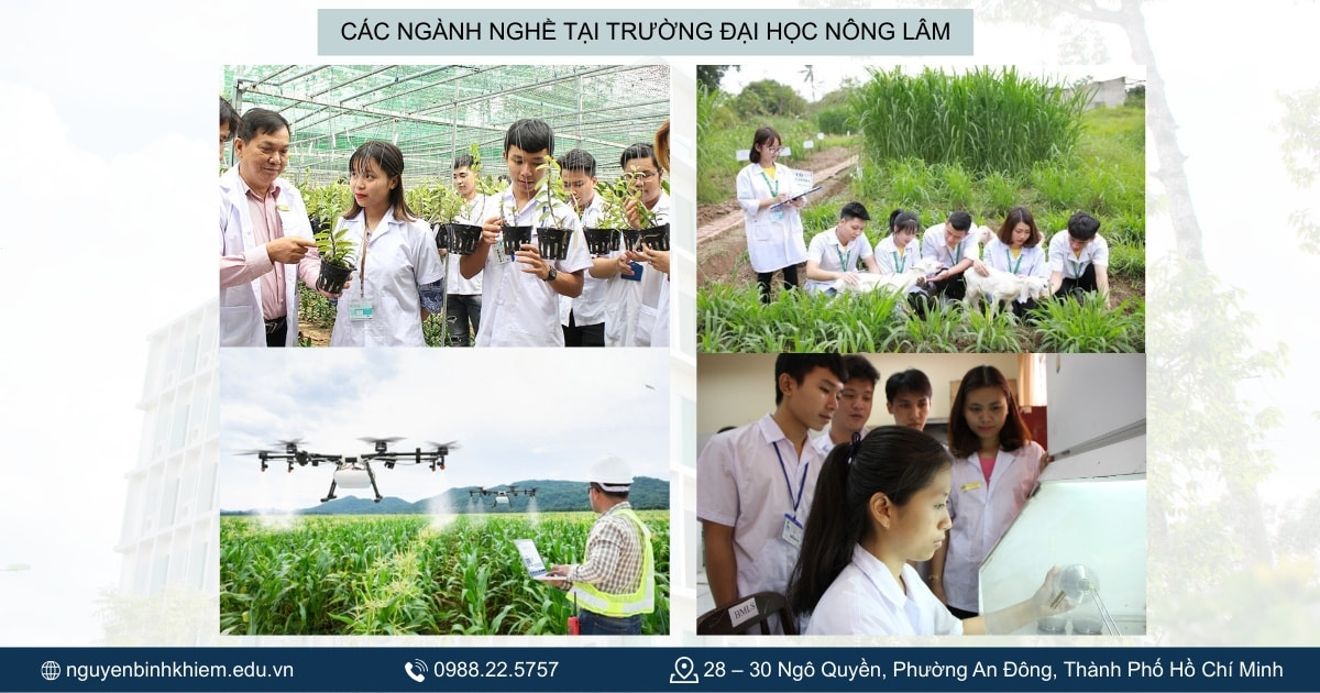 Ngành nghề tại Nông Lâm