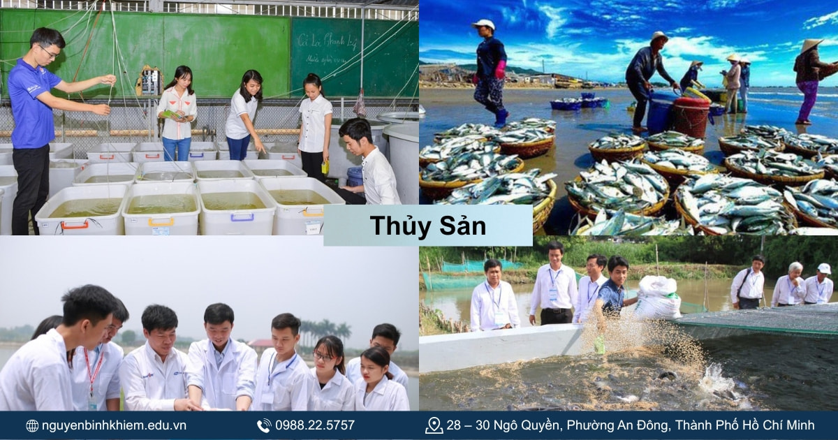 Thủy Sản 