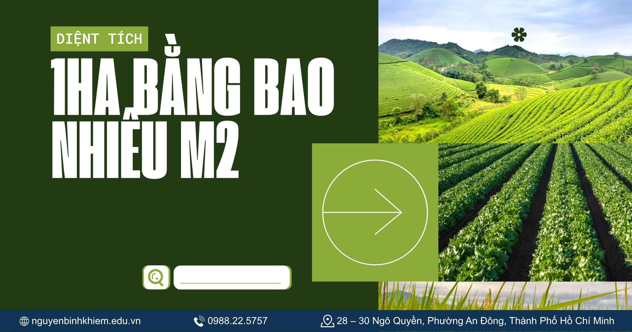 1ha bằng bao nhiêu m2