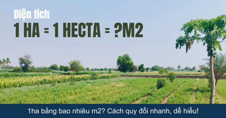 Quy chuẩn & độ tin cậy