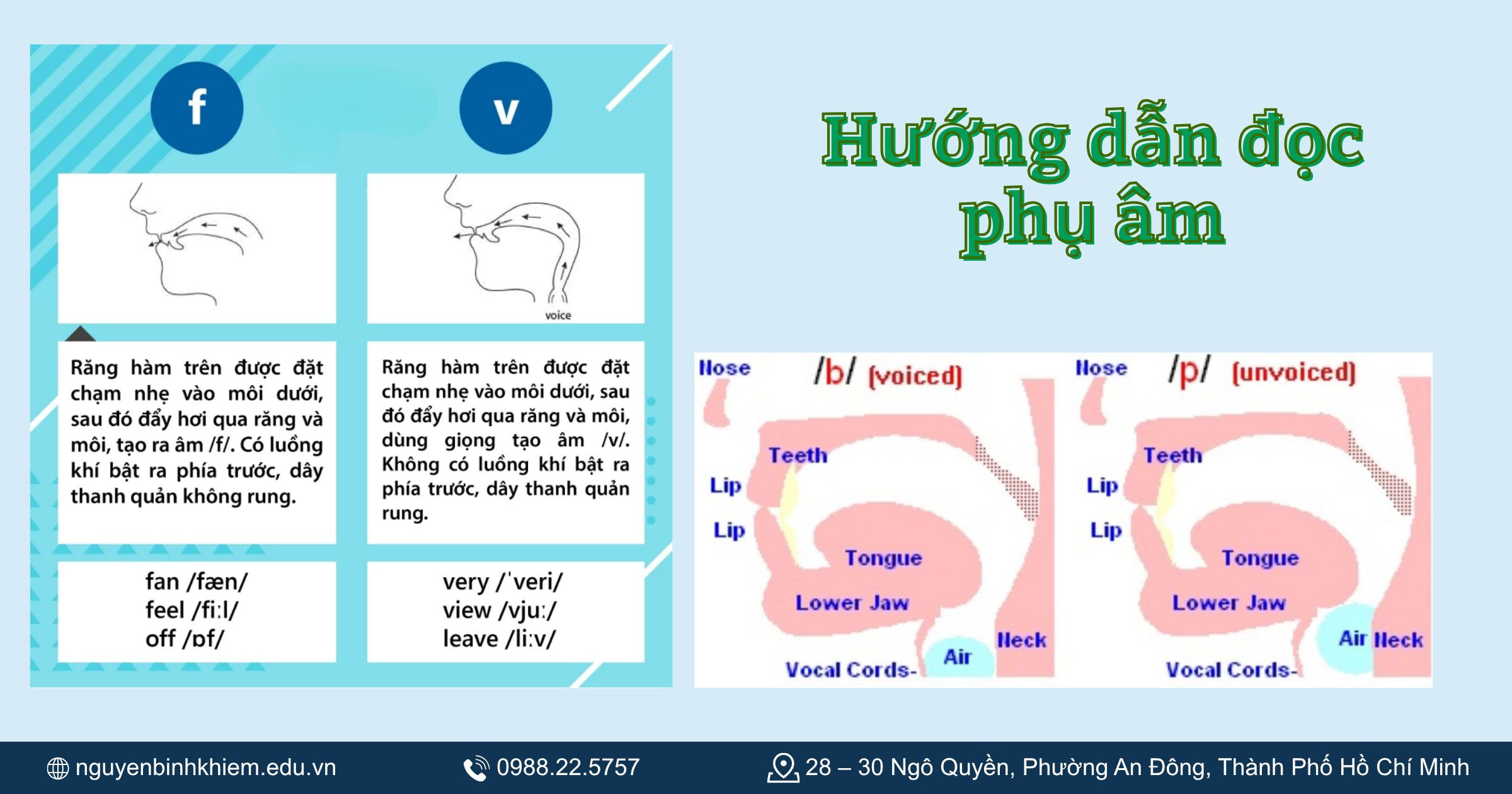 Cách đọc và viết phụ âm theo bảng phiên âm IPA