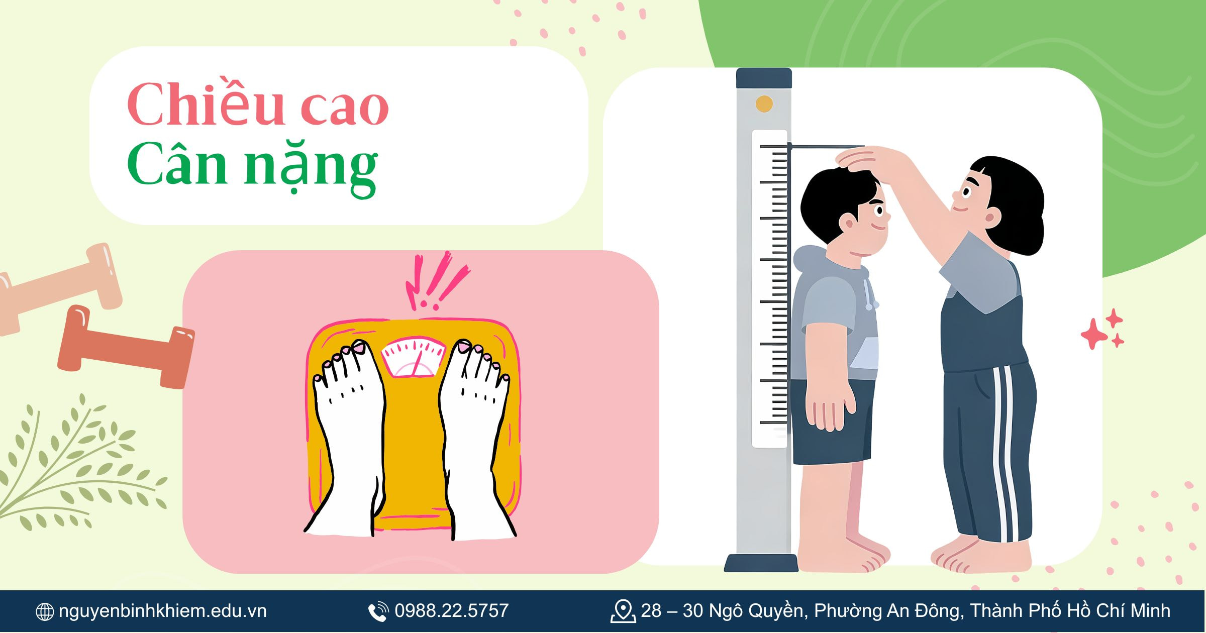 Chiều cao và Cân nặng của bạn