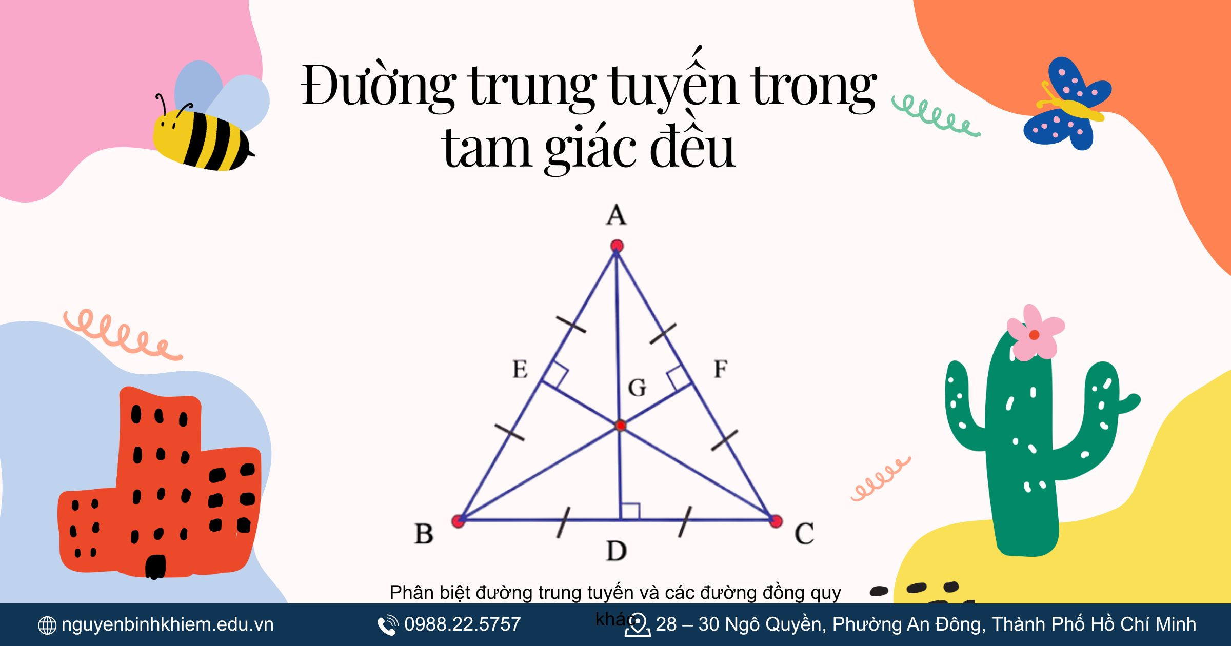 Đường trung tuyến trong tam giác đều