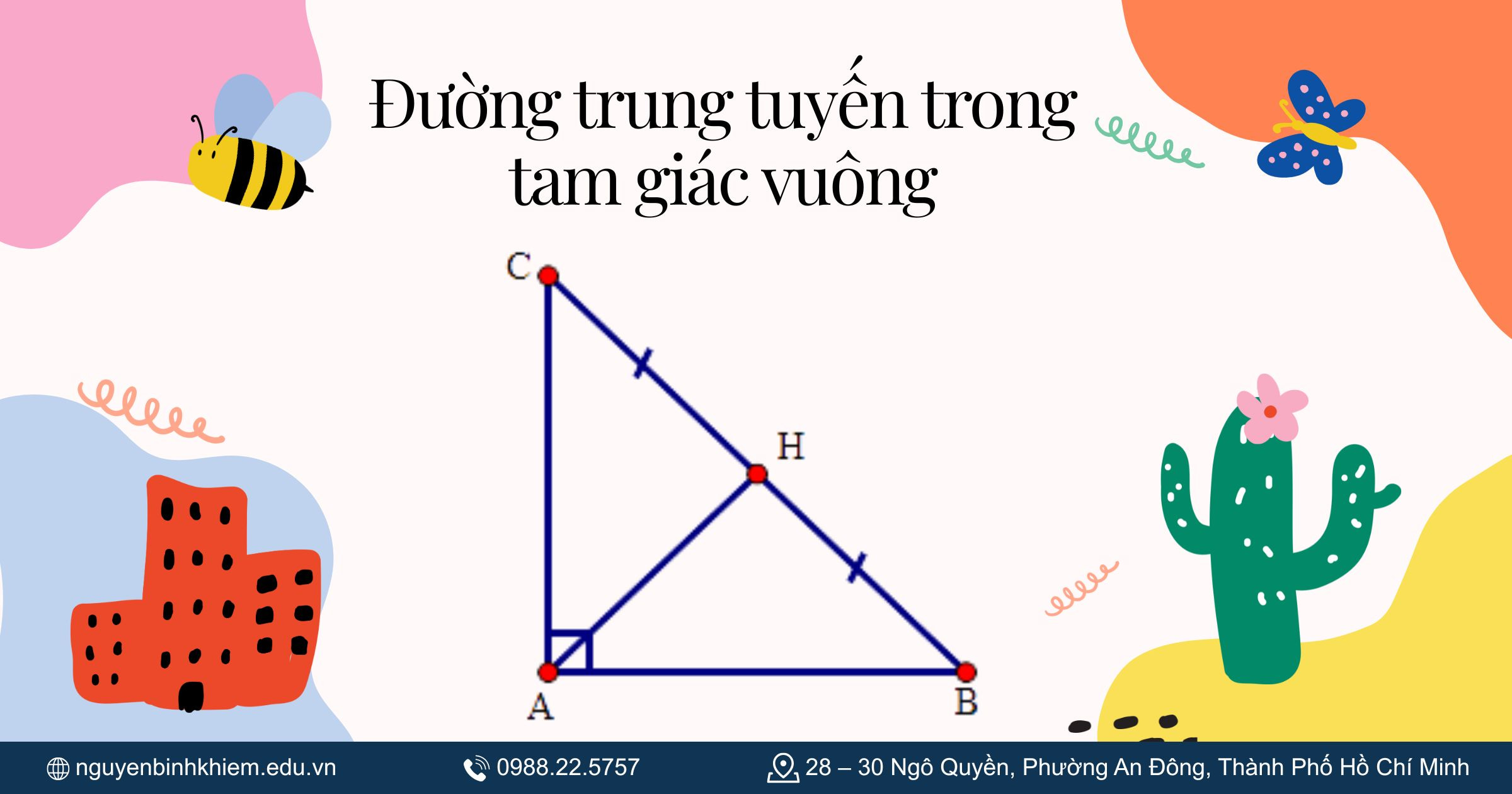 Đường trung tuyến trong tam giác vuông