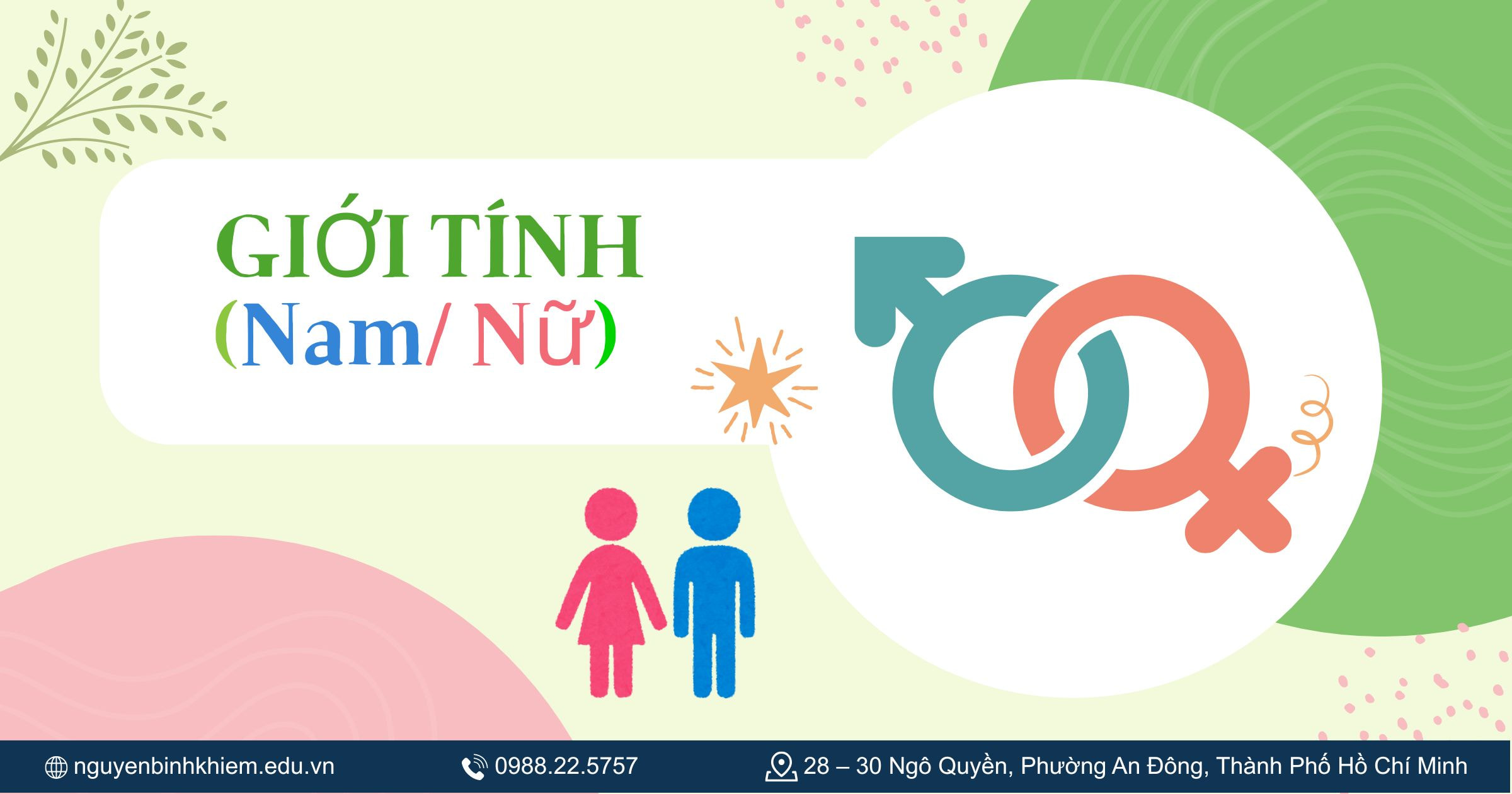 Giới tính của bạn