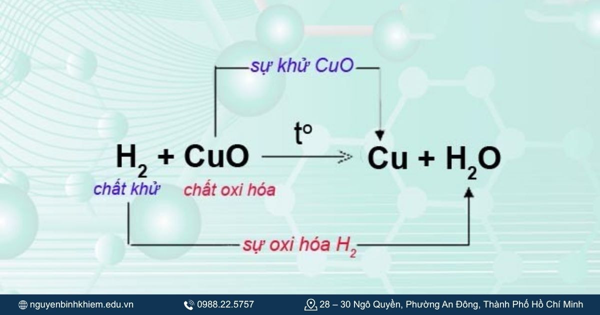 Oxy hóa – khử.
