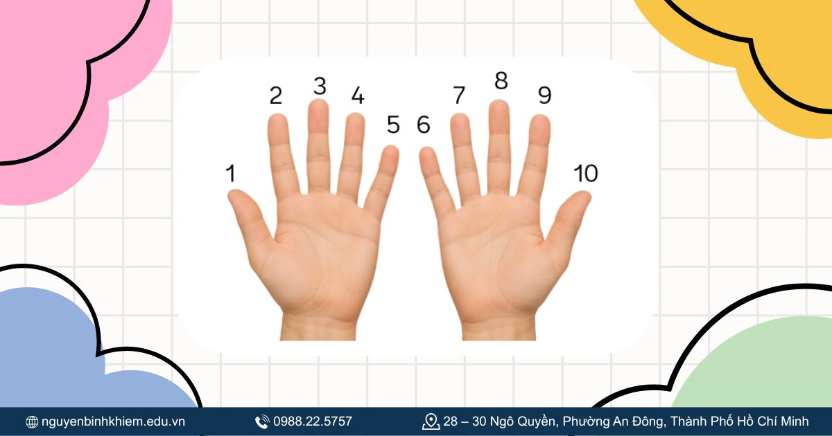 Quy tắc ngón tay