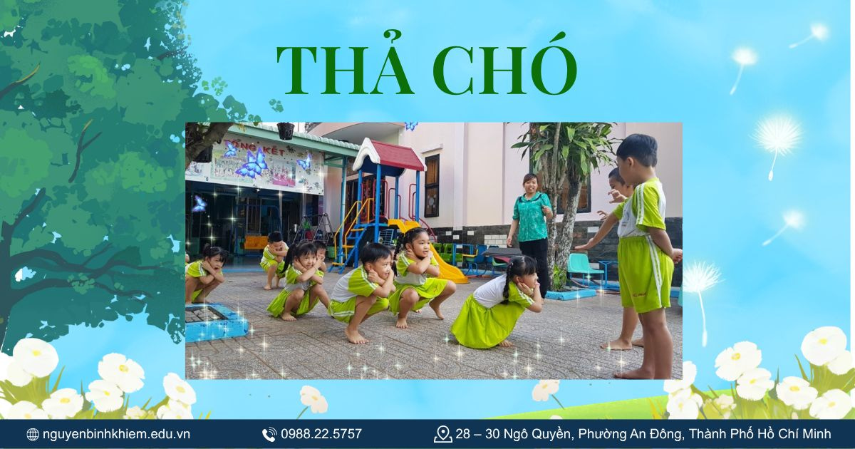 Thả chó