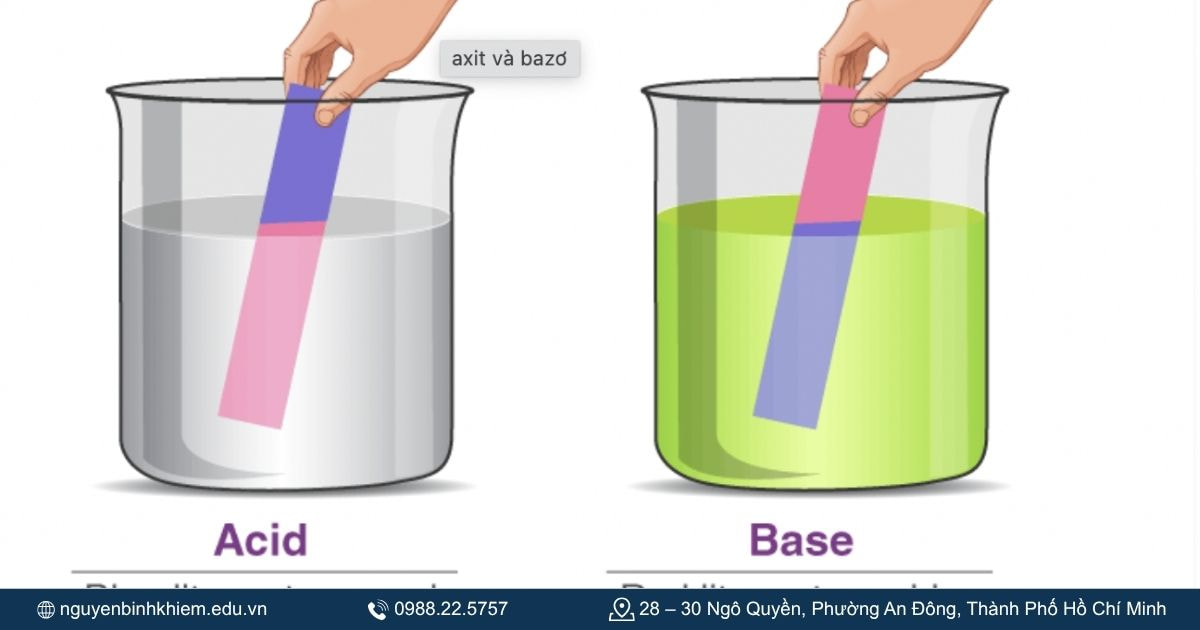 Tính axit – bazơ.