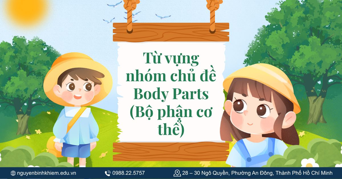 Từ vựng nhóm chủ đề Body Parts (Bộ phận cơ thể)