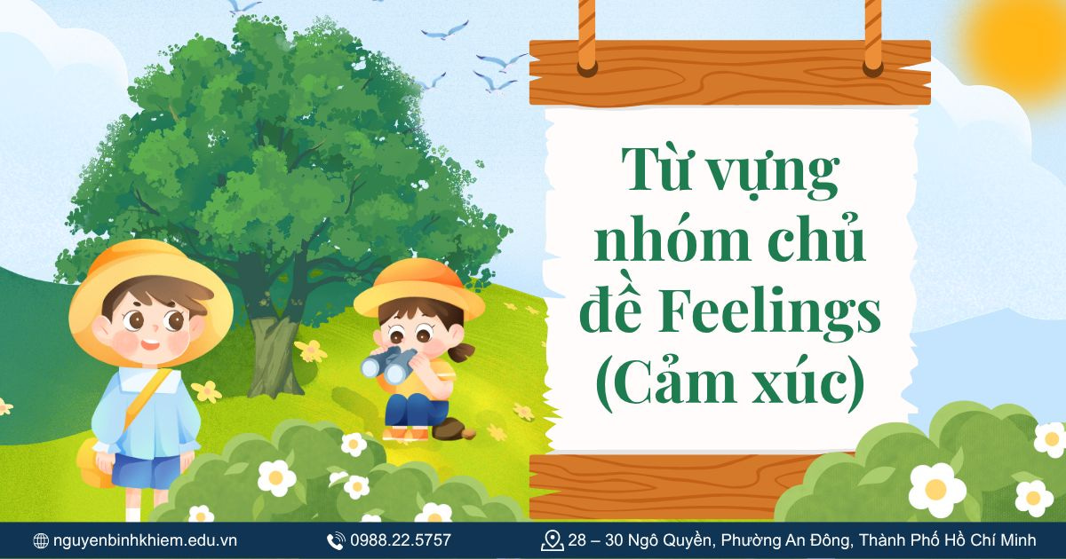 Từ vựng nhóm chủ đề Feelings (Cảm xúc)