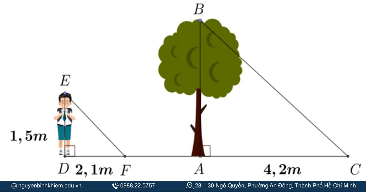 Ứng dụng thực tế