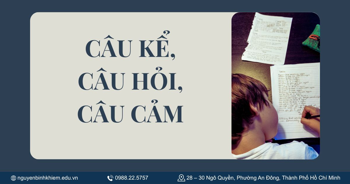 Câu kể, câu hỏi, câu cảm