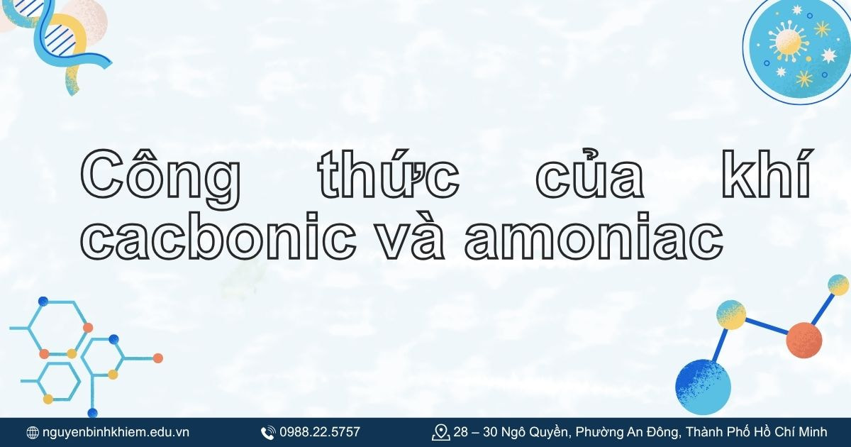 Công thức của khí cacbonic và amoniac