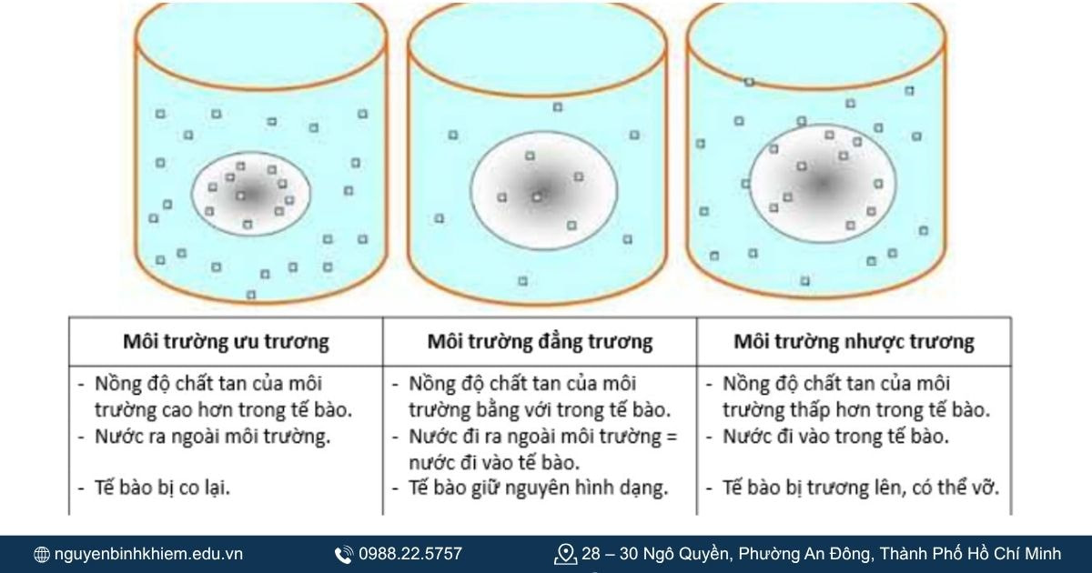 Dung dịch ưu trương, nhược trương, đẳng trương