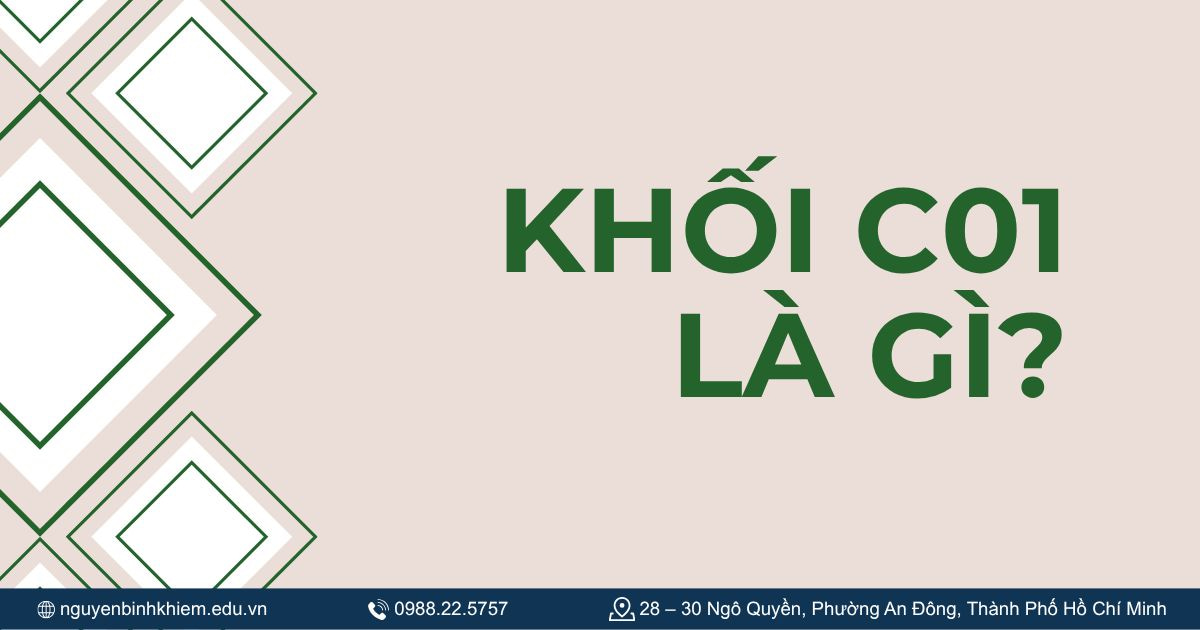 Khối C01 là gì?