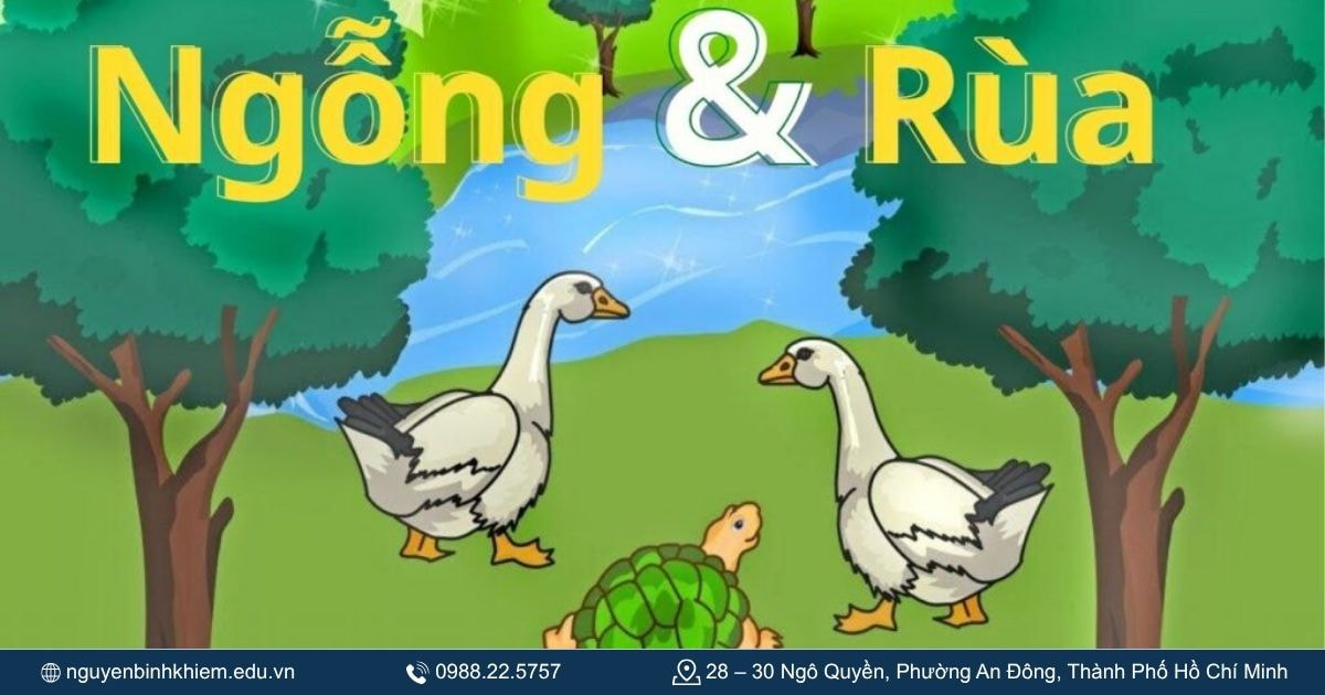Ngỗng và rùa.