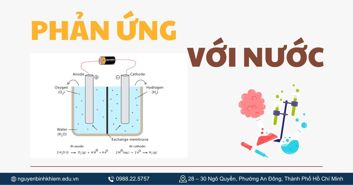 Phản ứng với nước