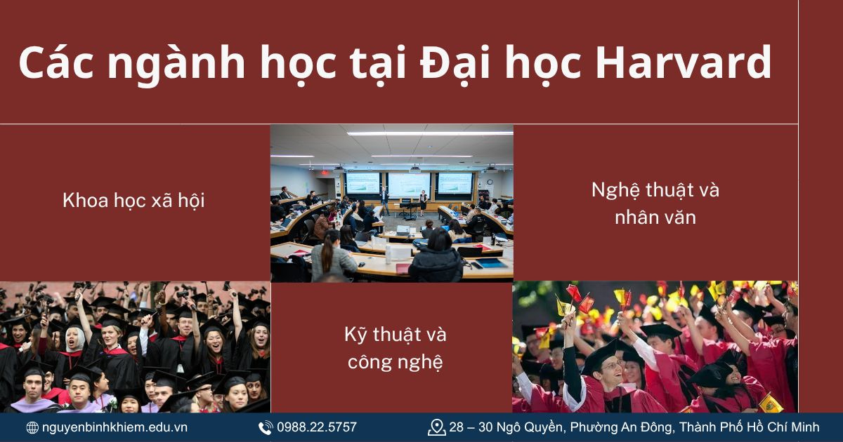 Các ngành học tại Đại học Harvard