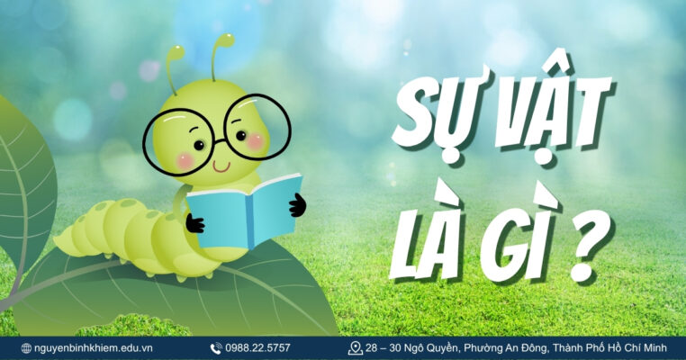 Sự vật là gì?