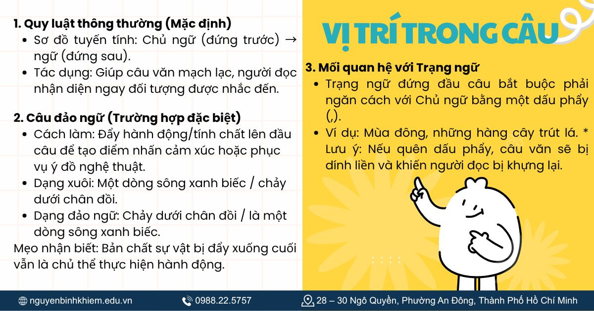 Vị trí trong câu